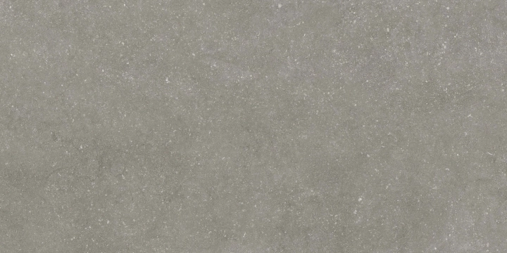 Casalgrande Padana Stile French Grey połaczenie mat-poler 45x90 cm gr. 9 mm